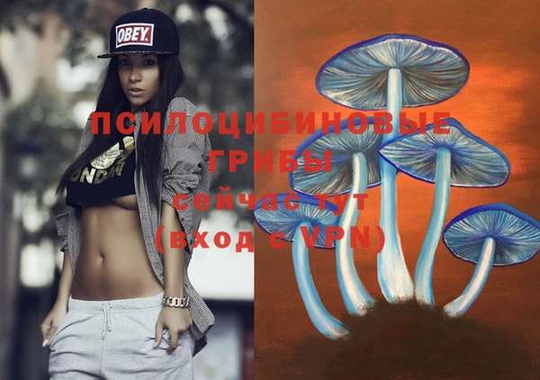 трава Абаза
