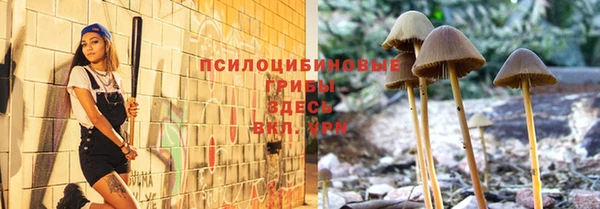 spice Абинск