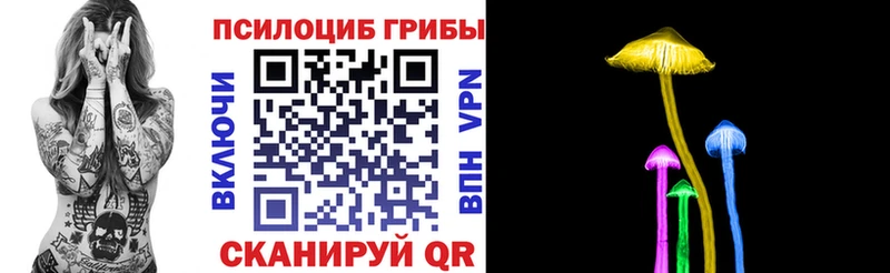 хочу   Камень-на-Оби  Галлюциногенные грибы ЛСД 